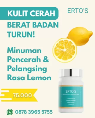 turun-bb-tanpa-tersiksa